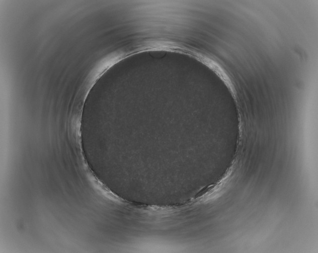 X0000110960954200907171647