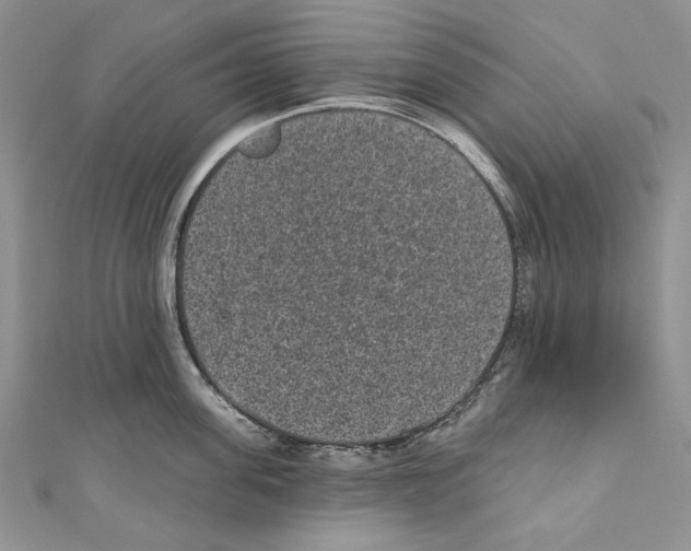 X0000110960955200907171647