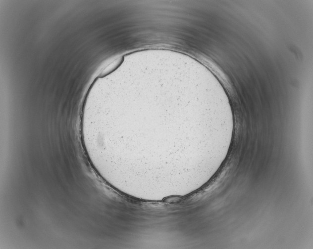 X0000110960956200907171647