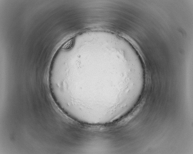 X0000110960957200907171647