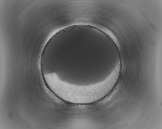 X0000110960958200907171647