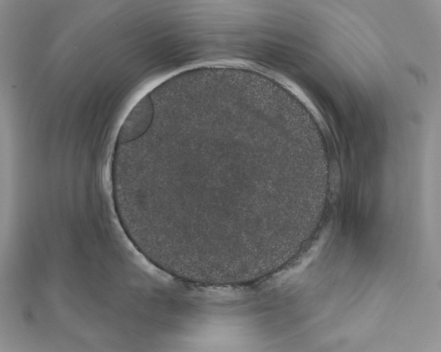 X0000110960959200907171647
