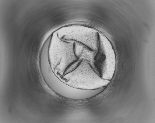 X0000110960960200907171647