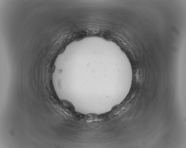 X0000110960961200907171646