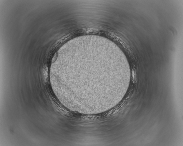 X0000110960963200907171646