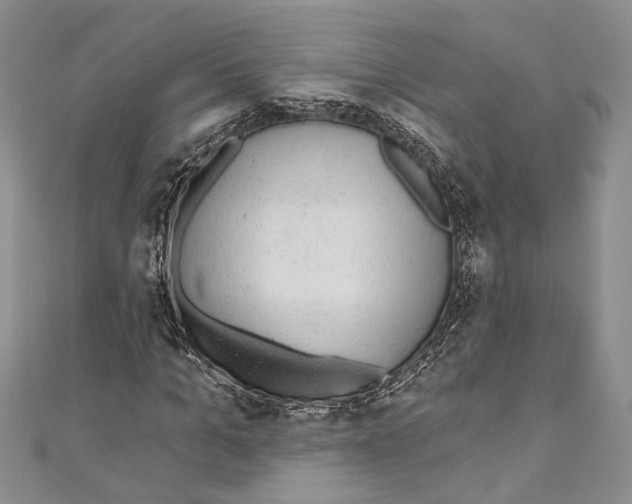 X0000110960965200907171646