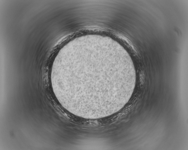 X0000110960968200907171646