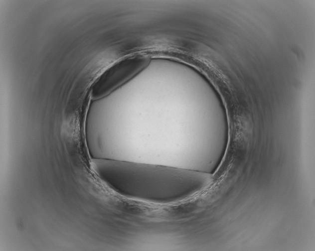 X0000110960969200907171646