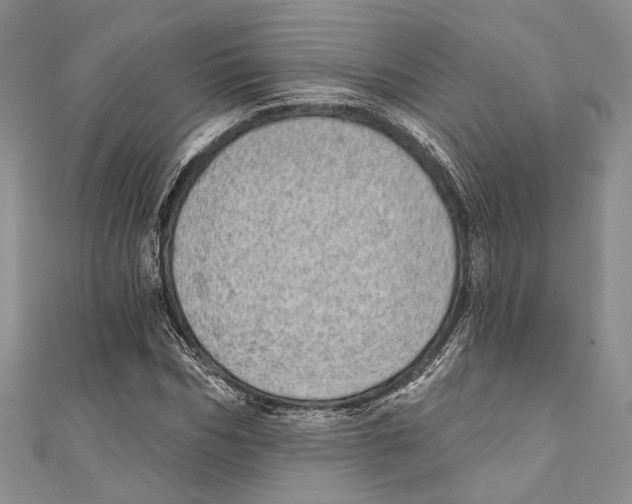 X0000110960970200907171646