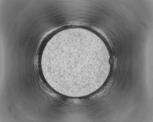 X0000110960971200907171646