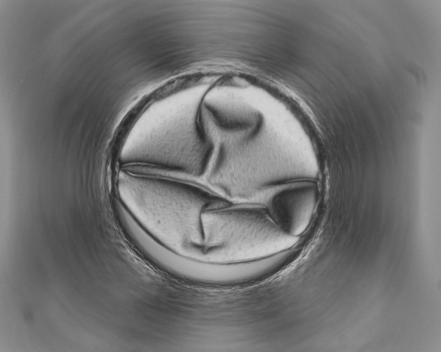 X0000110960973200907171646