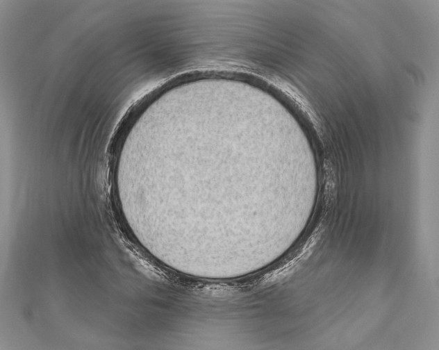 X0000110960974200907171646