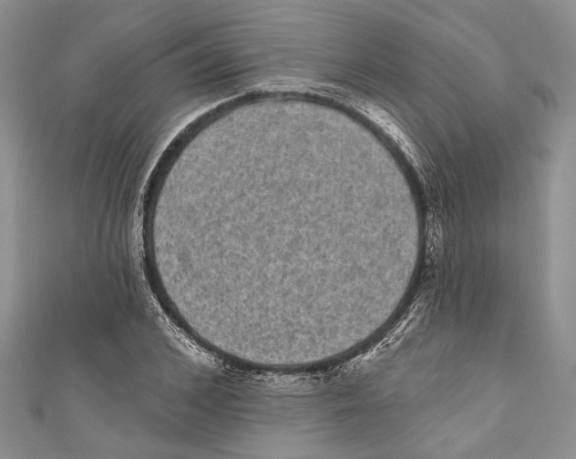 X0000110960976200907171646