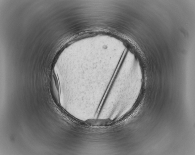 X0000110960977200907171646