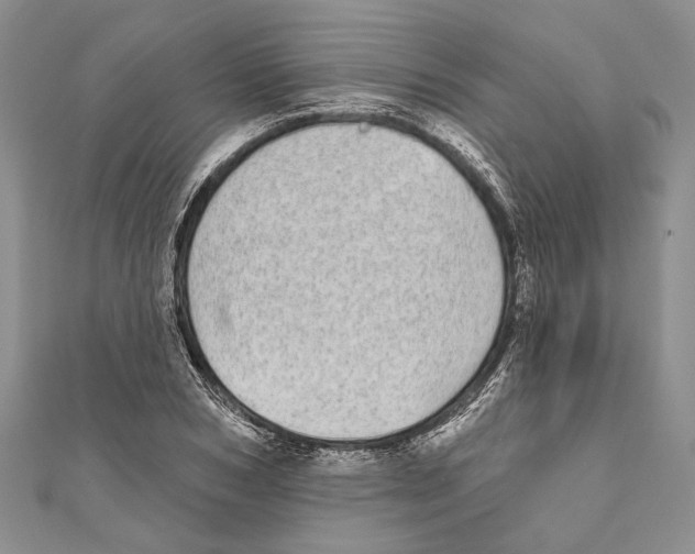 X0000110960978200907171646