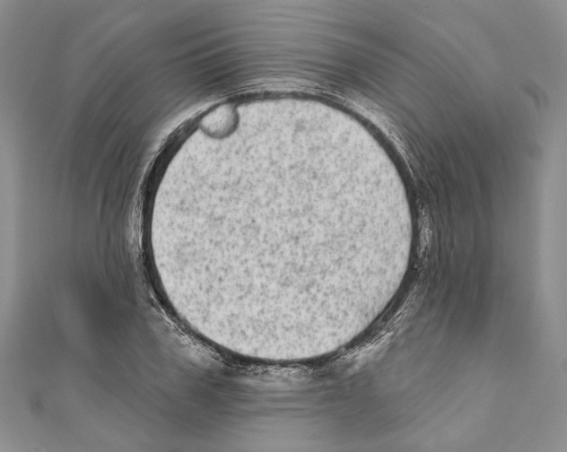 X0000110960979200907171646