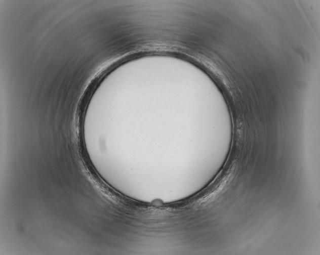 X0000110960981200907171646
