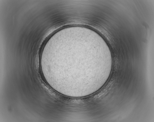 X0000110960982200907171646
