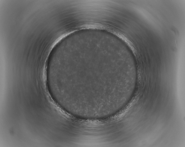 X0000110960983200907171646