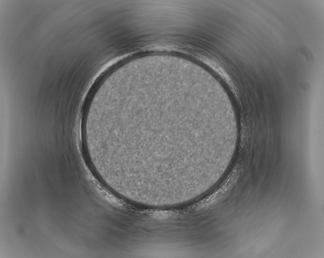 X0000110960984200907171646