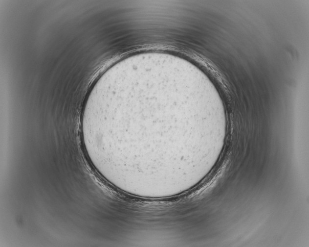 X0000110960985200907171646