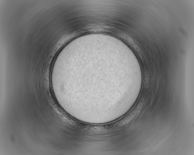 X0000110960986200907171646