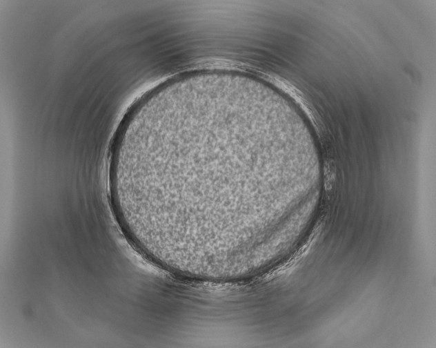 X0000110960987200907171646