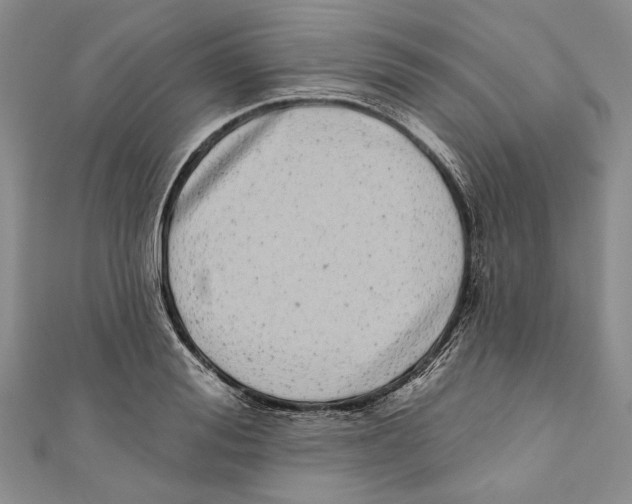 X0000110960988200907171646