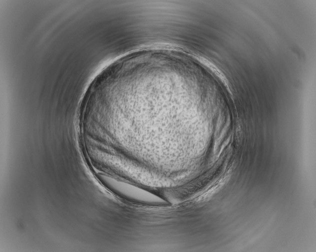 X0000110960989200907171646