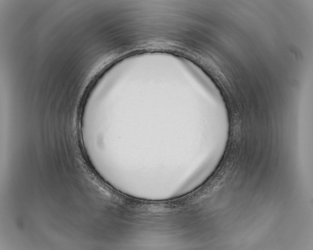 X0000110960990200907171646