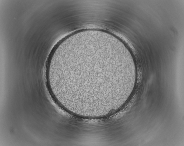 X0000110960991200907171646
