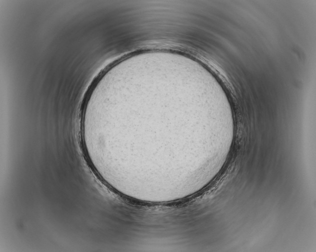 X0000110960992200907171646