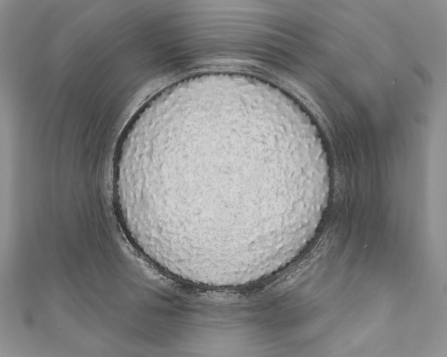 X0000110960994200907171646