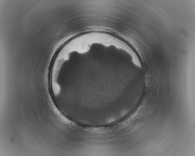 X0000110960995200907171646