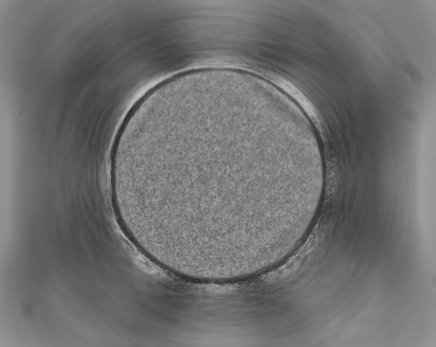 X0000110960996200907171646