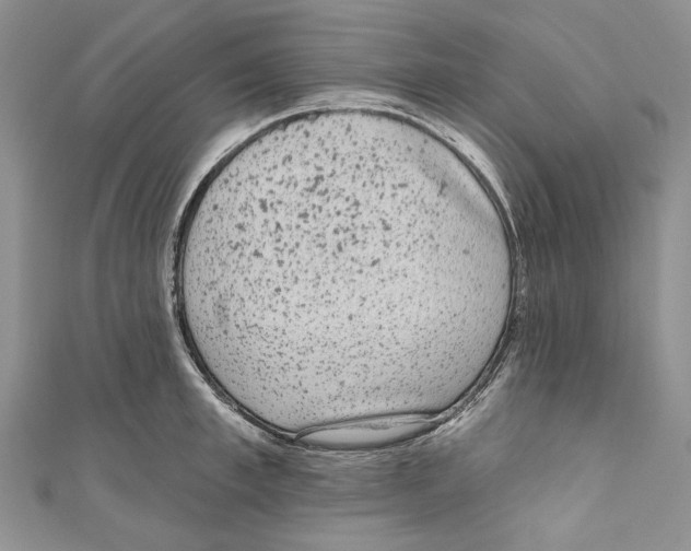 X0000110960997200907171646