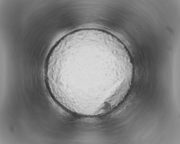 X0000110960998200907171646