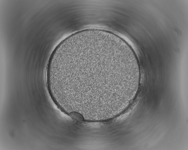 X0000110960999200907171646