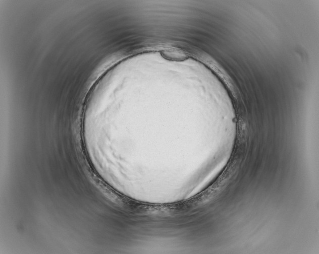 X0000110961002200907171645