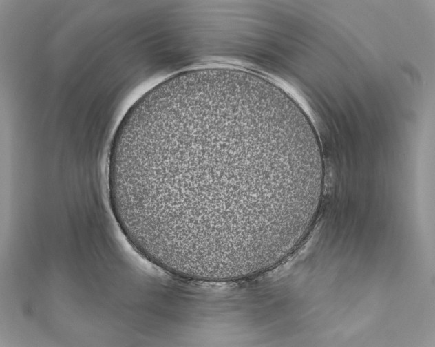 X0000110961003200907171645
