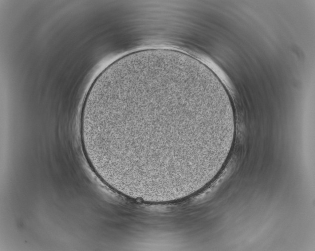 X0000110961004200907171645