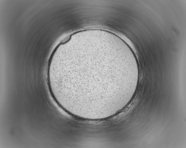 X0000110961005200907171645
