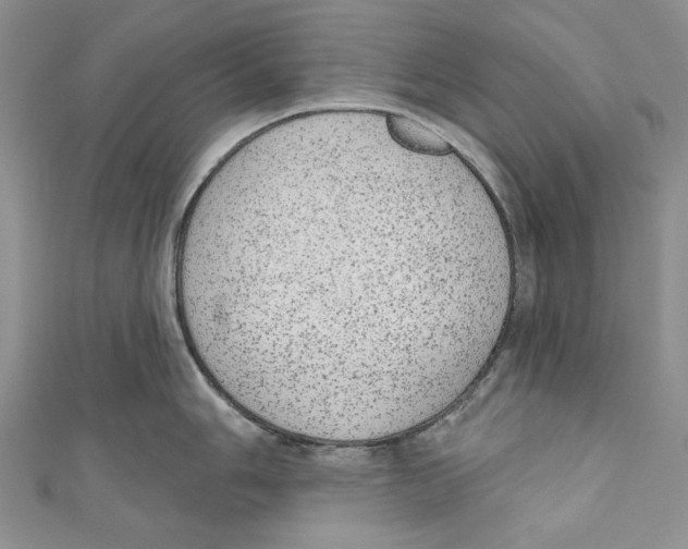 X0000110961006200907171645