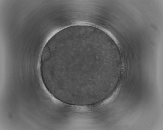 X0000110961007200907171645