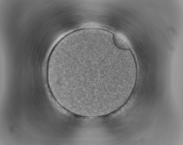 X0000110961008200907171645