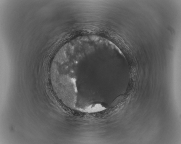 X0000110961009200907171645