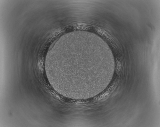 X0000110961010200907171645