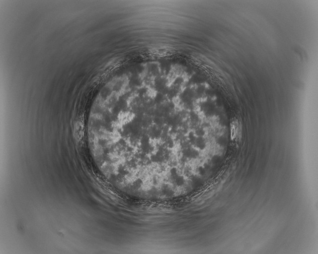 X0000110961011200907171645