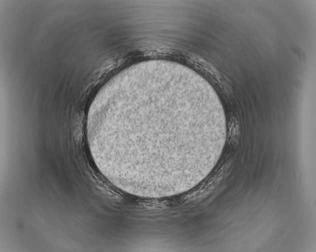 X0000110961012200907171645