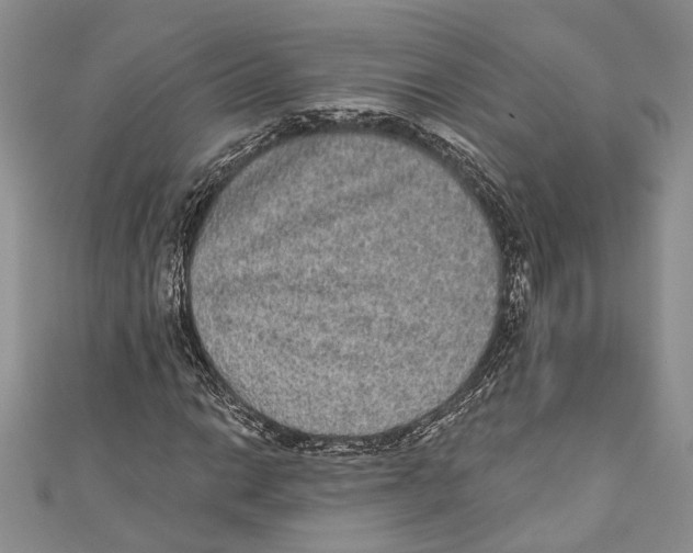 X0000110961014200907171645